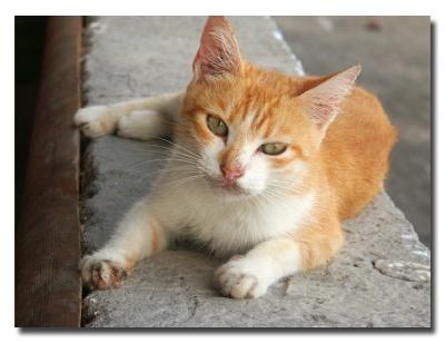 PICT0083_pBase.jpg