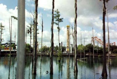 pond.jpg