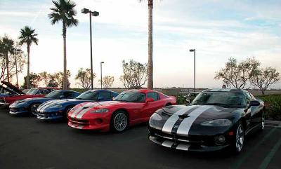 Vipers all in a row