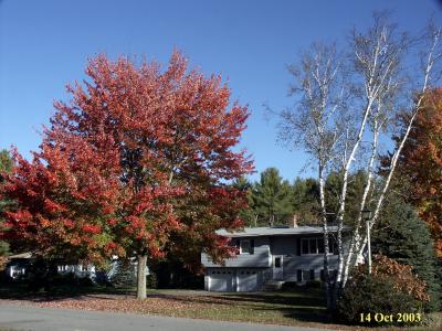 At Home-03