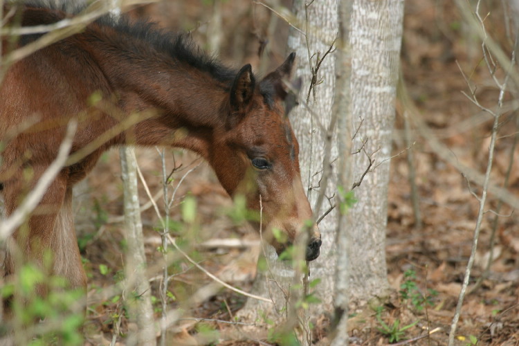 nibbling.JPG
