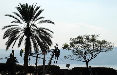 Two Trees & A Bird Silhouettes