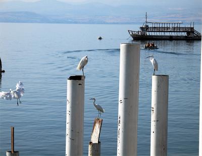 Sea Of Galilee Harbour