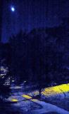 Arbor Hills - blue night