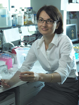 Dr. Cristina Antonescu - MSKCC