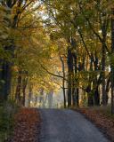 autumn_DSC_8237_web.jpg