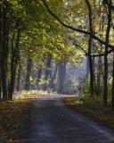 autumn_DSC_8254_web.jpg