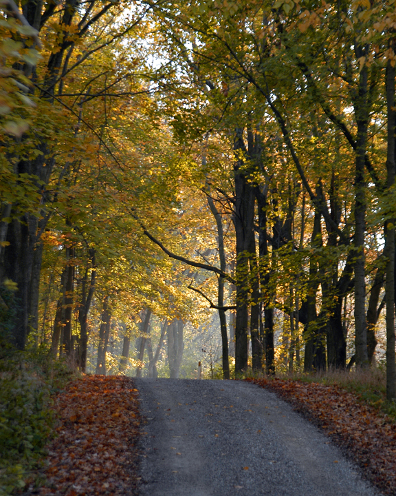autumn_DSC_8237_web.jpg