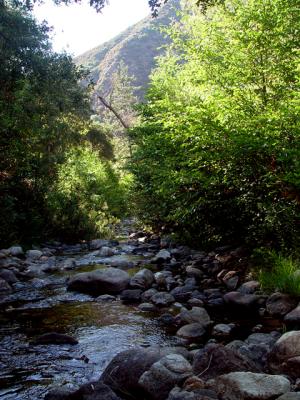 Tassajara Creek