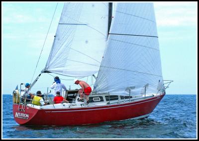 DSCF1769.jpg