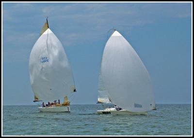 DSCF1782.jpg