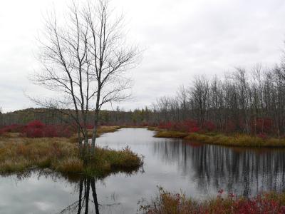 Cridley River 1-late fall[=]