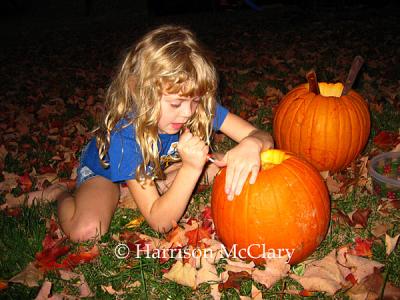 whm_pumpkin0002.jpg