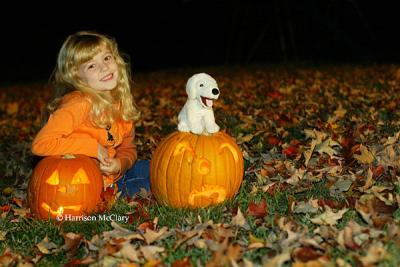 whm_pumpkin0013.jpg