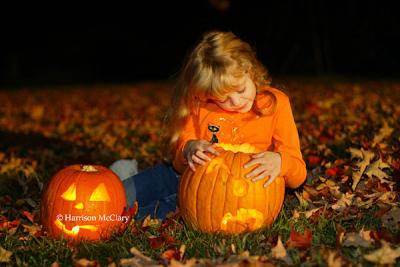 whm_pumpkin0018.jpg