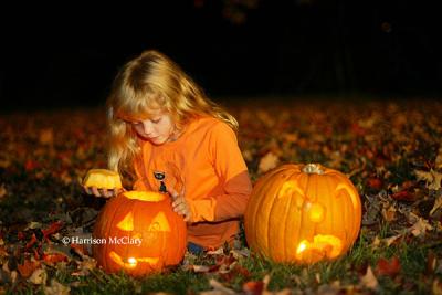 whm_pumpkin0025.jpg