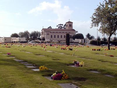 Veterans Day Tribute 03.jpg