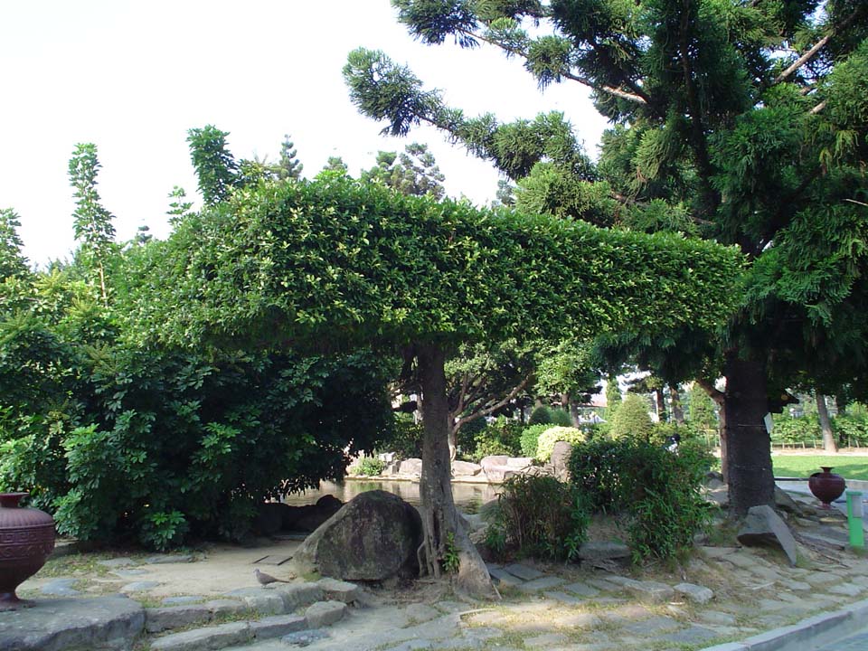 DSC00323.JPG