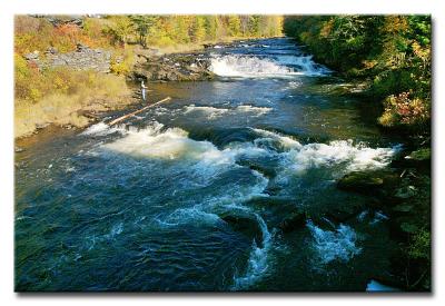 CRW_6507L