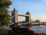 Tower Bridge from Tower of London