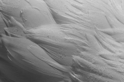 CRW_6936.jpg