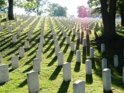 Rows of fallen heros