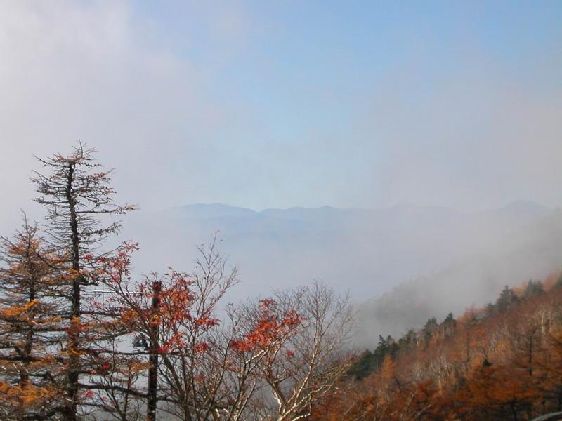 Sur le flanc du mnt Fuji