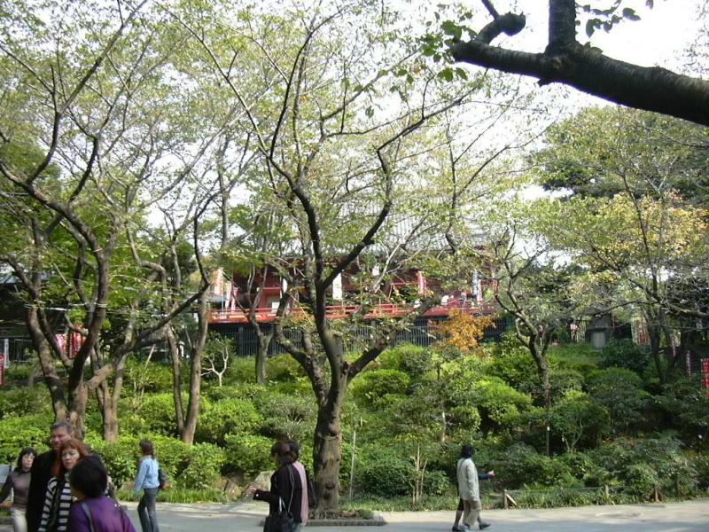 Park et Temple dans Ueno