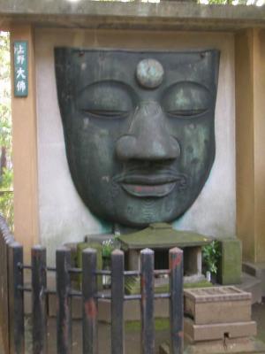 u35/adn/medium/23122390.RotationofDSCN0782.jpg
