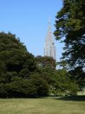 Le parc de Yoyogi