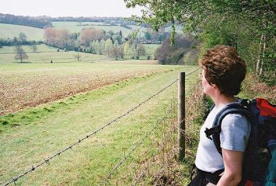 looking across the chess valley