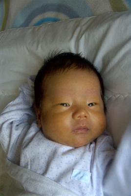 u35/aidan_jaeyoung/medium/22850804.RIMG0127.jpg