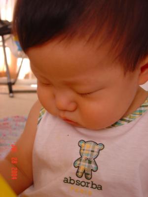 DSC02341.jpg