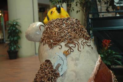 u35/al309/medium/31886239.DSC_3118a.jpg