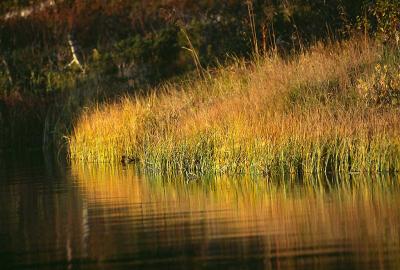 Autumn in Sweden 8.jpg