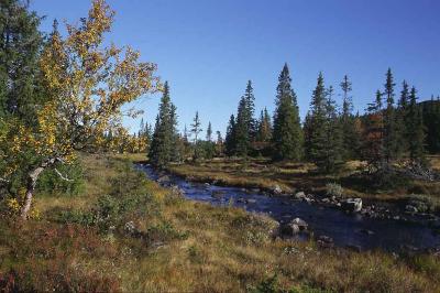 Autumn in Sweden 12.jpg