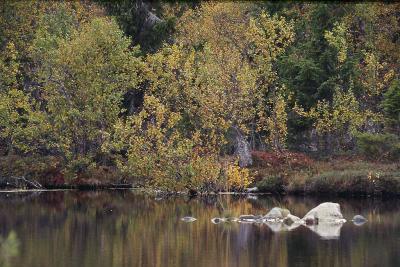 Autumn in Sweden 14.jpg