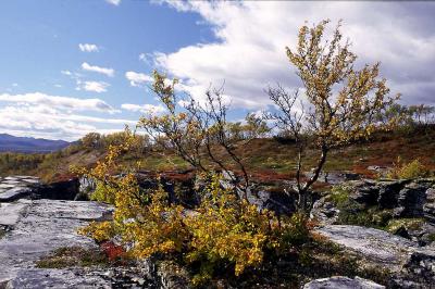 Autumn in Sweden 16.jpg