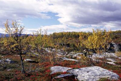 Autumn in Sweden 17.jpg