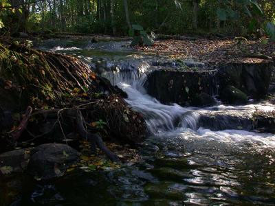 DSCN5709-River in Vrmland