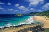 Praia do leão