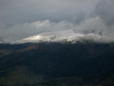 Fresh snow in Sinaia mountains, Transylvania