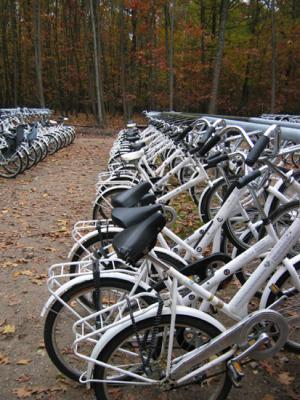 Bikes for everybody. Hoge Veluwe.