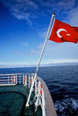 u35/antlegg/medium/31869969.turkeysflag.jpg