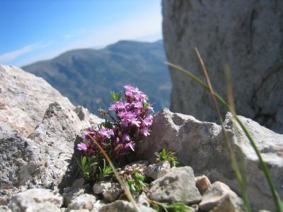 Pedraforca_0027.JPG