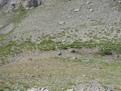 Pedraforca_0041.JPG