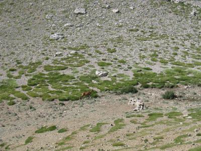 Pedraforca_0043.JPG