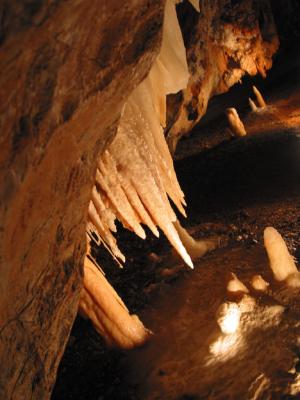 106-0646_CRW.jpg