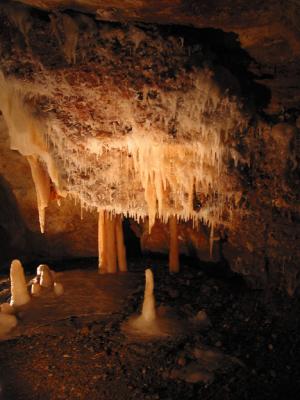 106-0654_CRW.jpg