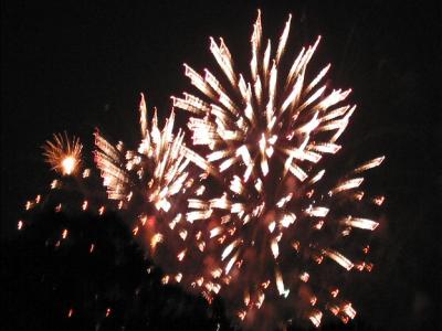 IMG_0471_Zoom.jpg